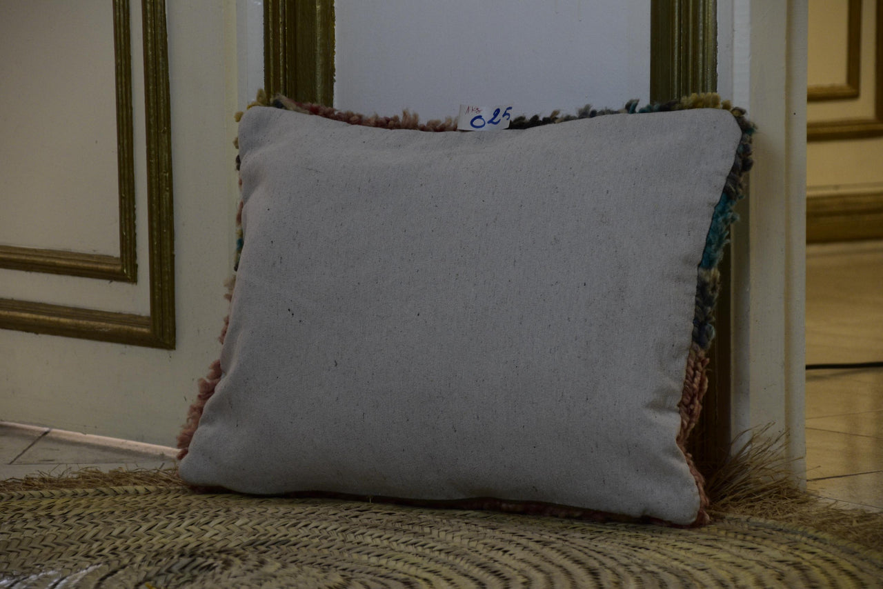 Two Vintage Moroccan Boujad Pillow | Shaggy Pastel Abstract Wool Cushion 16x20 Vintage