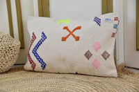 Two Handwoven Moroccan Sabra Pillow, Wool Cactus Silk Lumbar Cushion, Embroidered Berber Chic Vintage