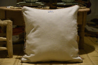 Two Vintage Moroccan Boujaad Pillow Cover: Pastel Geometric Wool Cushion (20x20) Vintage